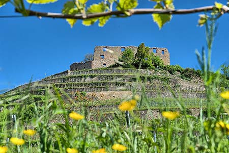 Schlossberg Staufen mit Burg